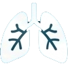 pulmones-1
